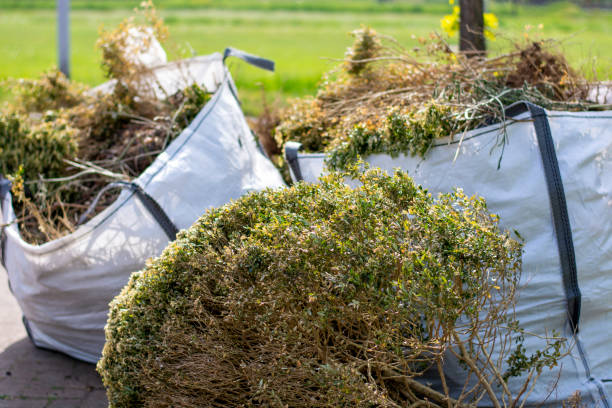 Best Professional Junk Removal  in Goshen, CA